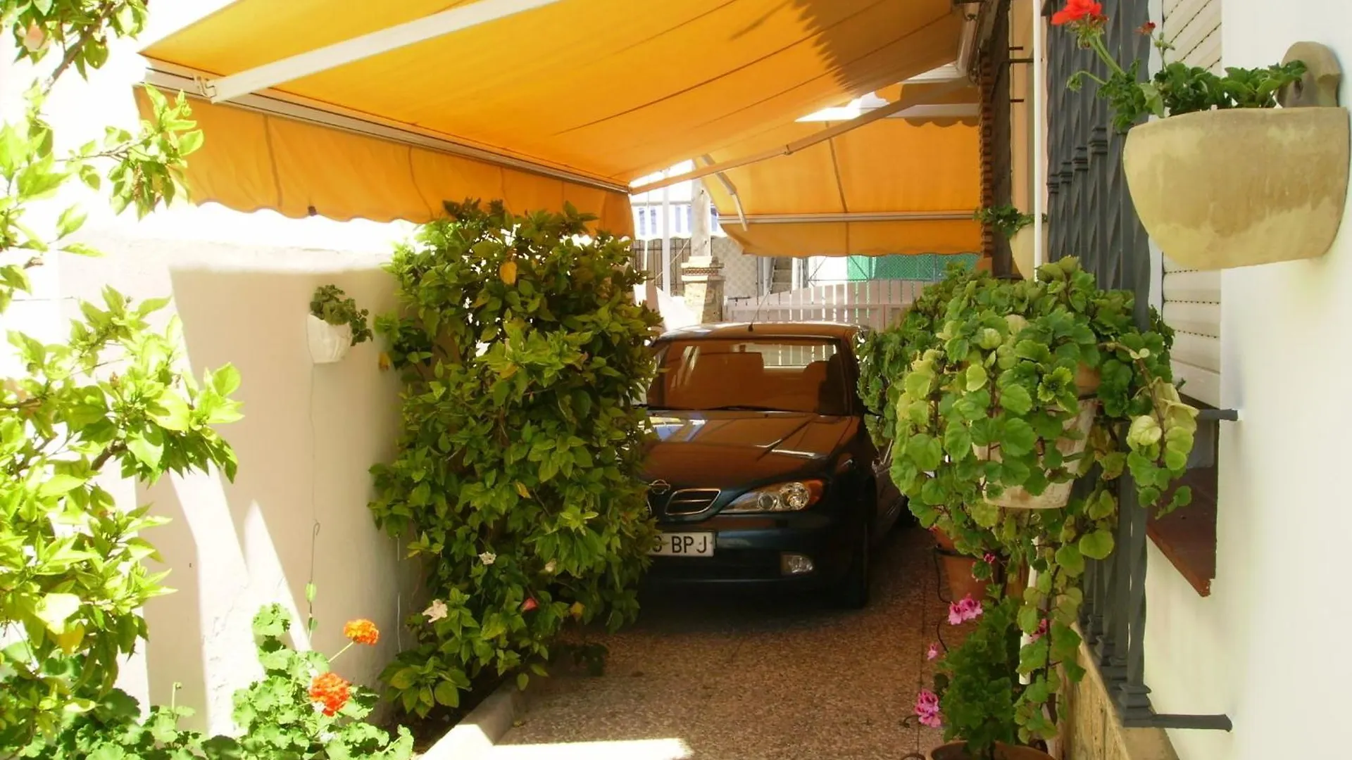דירה צ'יפיונה Apartamento Caracola